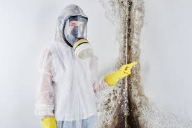 Bellwood, VA Mold Removal & Remediation Company